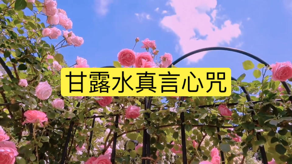 【甘露水真言心咒】