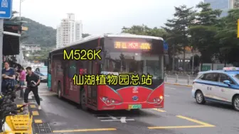 下载视频: 【深圳公交·POV95】北环大站距线路之一 深圳公交M526线大站快车（强荣东总站→仙湖植物园总站）全程 第一视角展望