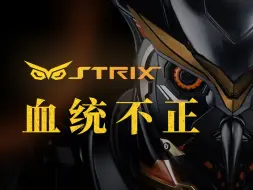 Descargar video: 为什么华硕ROG STRIX不是纯血ROG？【板厂史】