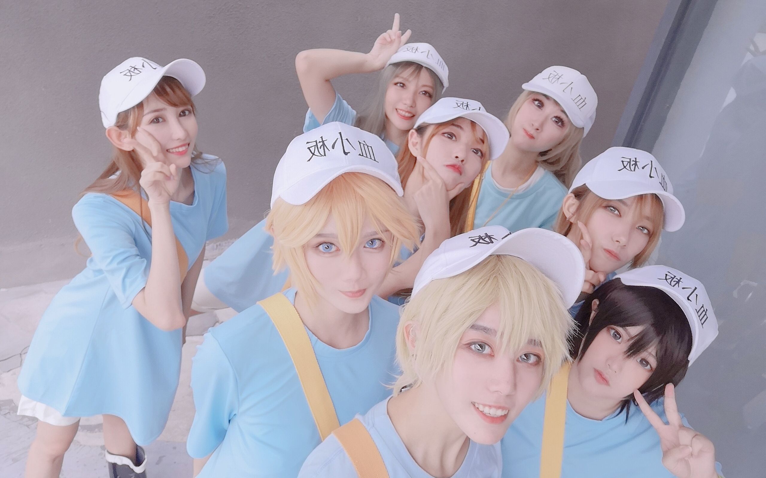 【血小板/cos】1米7的血大板们冲鸭!