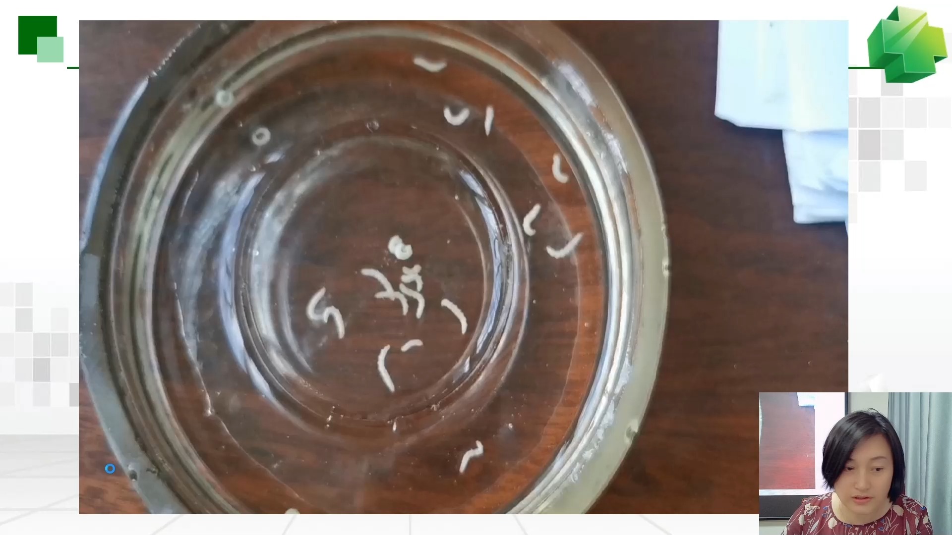 稻水象甲识别特征,监测调查方法及防控技术