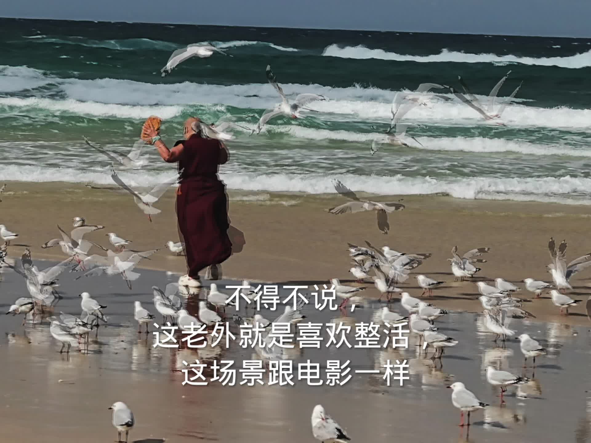 留学vlog哔哩哔哩bilibili