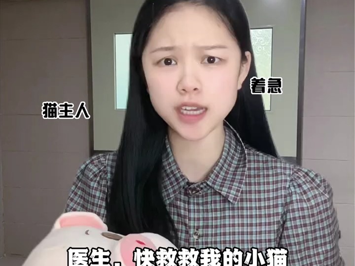 宠物医院的无语瞬间哔哩哔哩bilibili