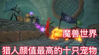 Download Video: 魔兽世界：猎人颜值最高的十只宠物