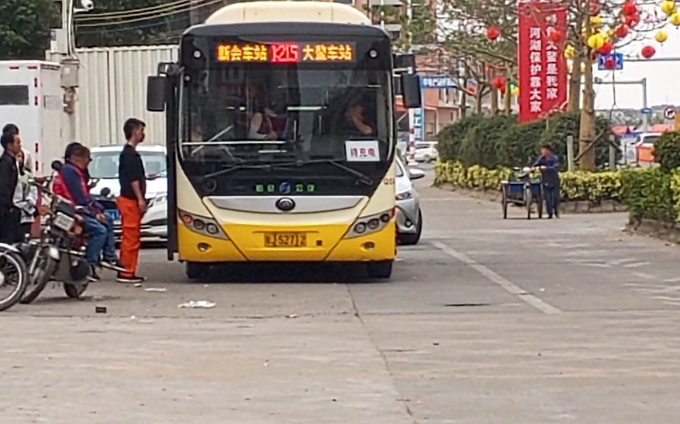 江门公交k215新会车站大鳌车站