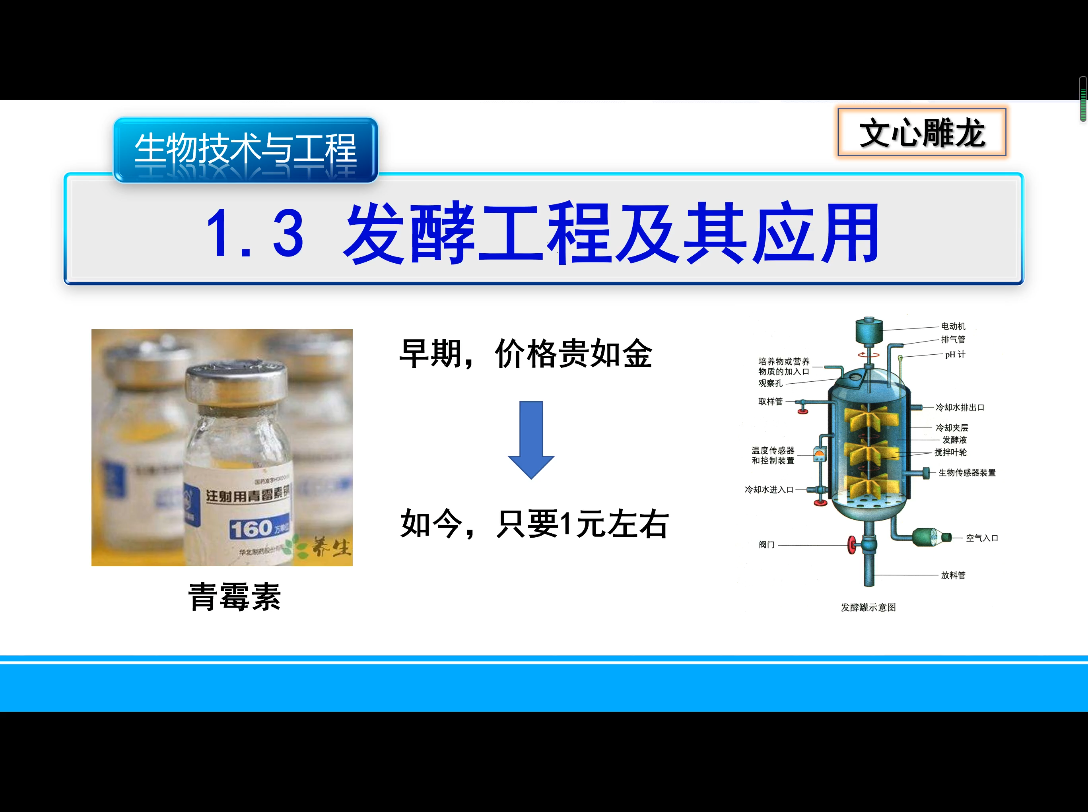 [图]文心雕龙高中生物选择性必修3（新人教版）1.3发酵工程及其应用