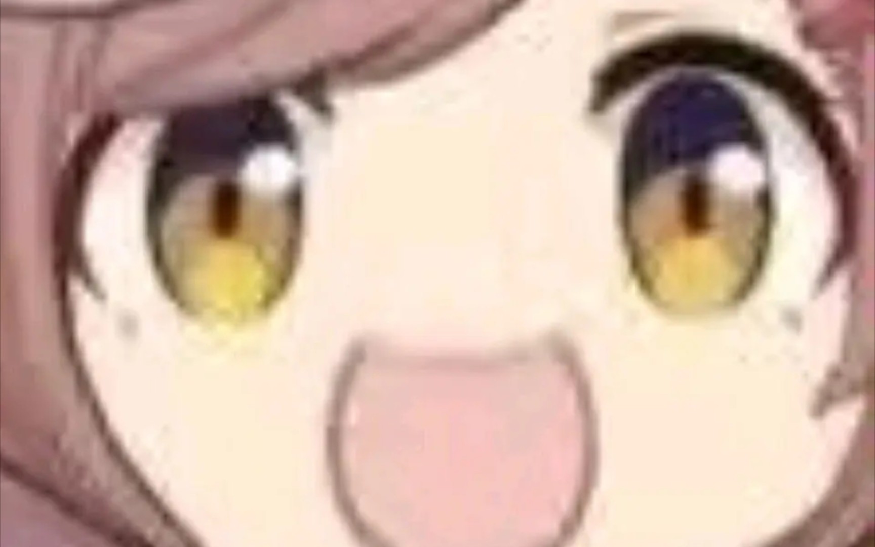 波兰蠢驴傻了吧唧 诗歌剧