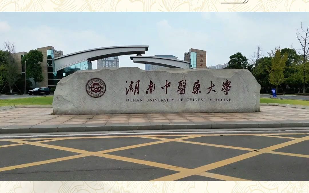 湖南中医药大学中医堂,中医师承学习好去处哔哩哔哩bilibili