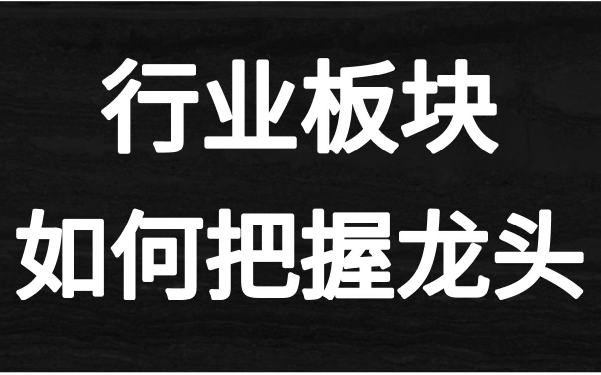 行业龙头的优势有哪些?如何精准把握行业中的龙头?哔哩哔哩bilibili