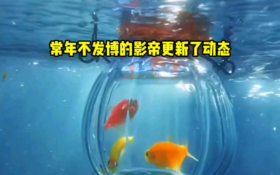 小说推荐《听月随机》哔哩哔哩bilibili