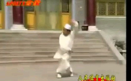 八极拳—罗汉功(大伟老师演示)哔哩哔哩bilibili