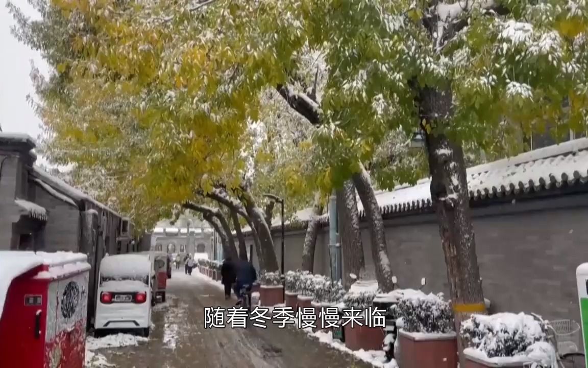 大暴雪席卷我国北方,今年冬天怎么过?喝酒真能御寒暖身吗?哔哩哔哩bilibili