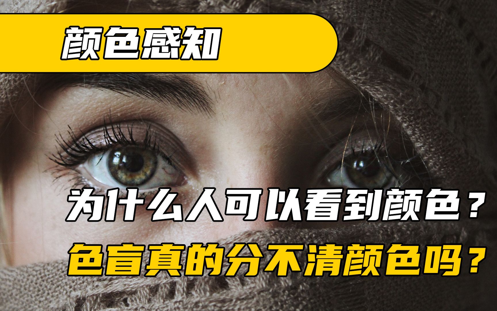 [图]人是如何看到颜色的？色盲真的分不清颜色吗？眼见不一定为实