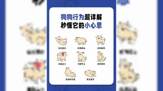 Download Video: 狗狗这些行为，你都能读懂吗？