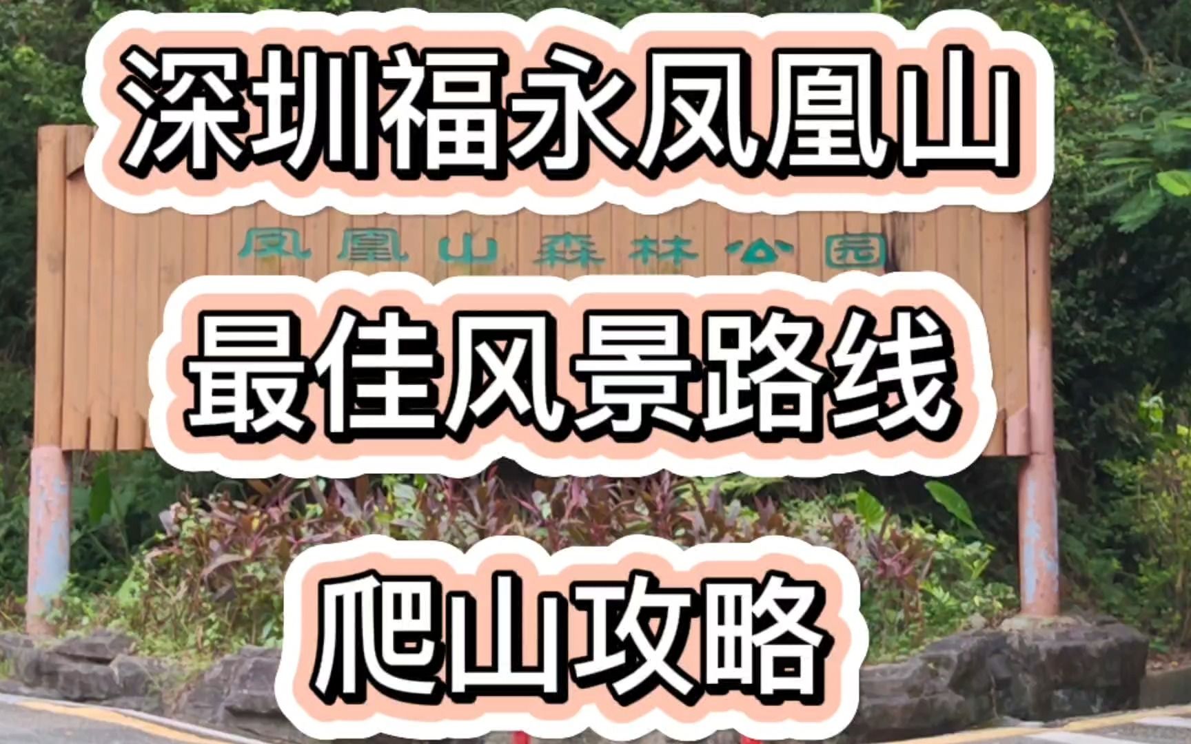 深圳福永凤凰山爬山攻略哔哩哔哩bilibili