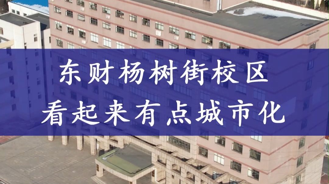 东北财经大学在什么街道(东北财经大学所在地详细地址)