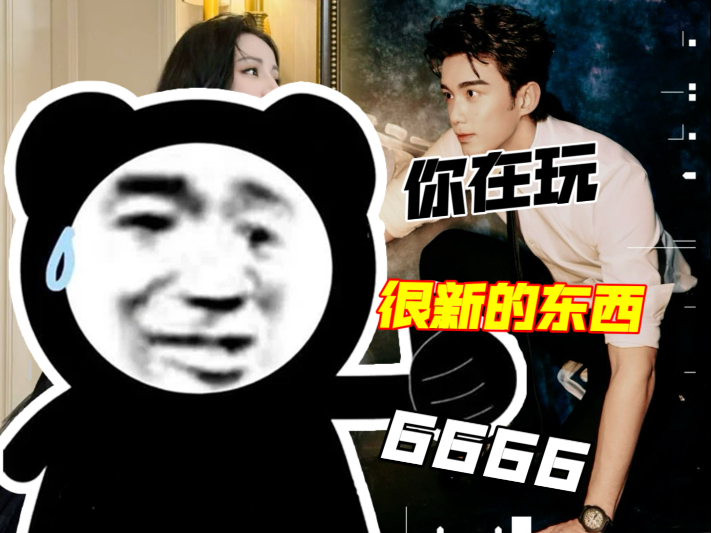 【磊迪】两只黑天鹅
