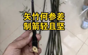 下载视频: 伐矢竹，制箭够轻够硬