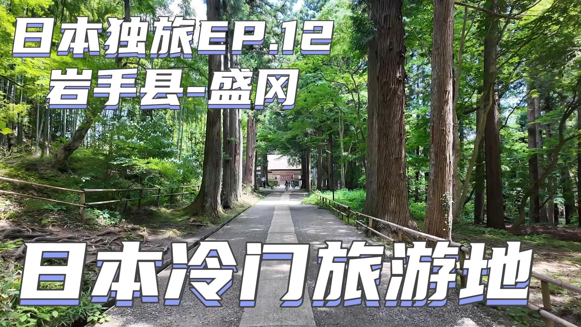 EP.12 岩手县盛冈 日本冷门旅游地【日本独旅】哔哩哔哩bilibili