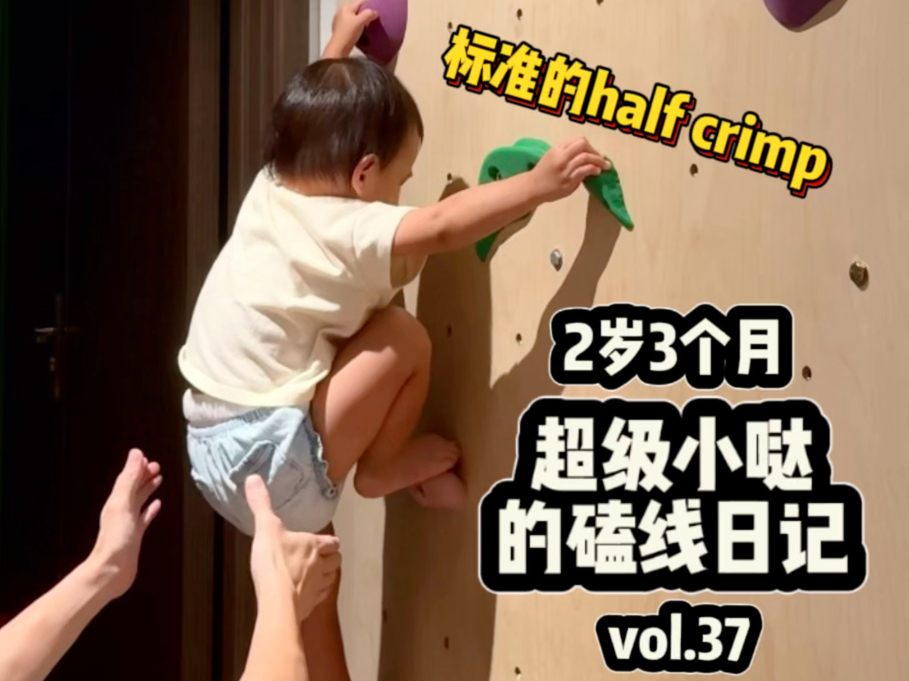 【进击的岩二代】2岁指力怪解锁crimp!哔哩哔哩bilibili