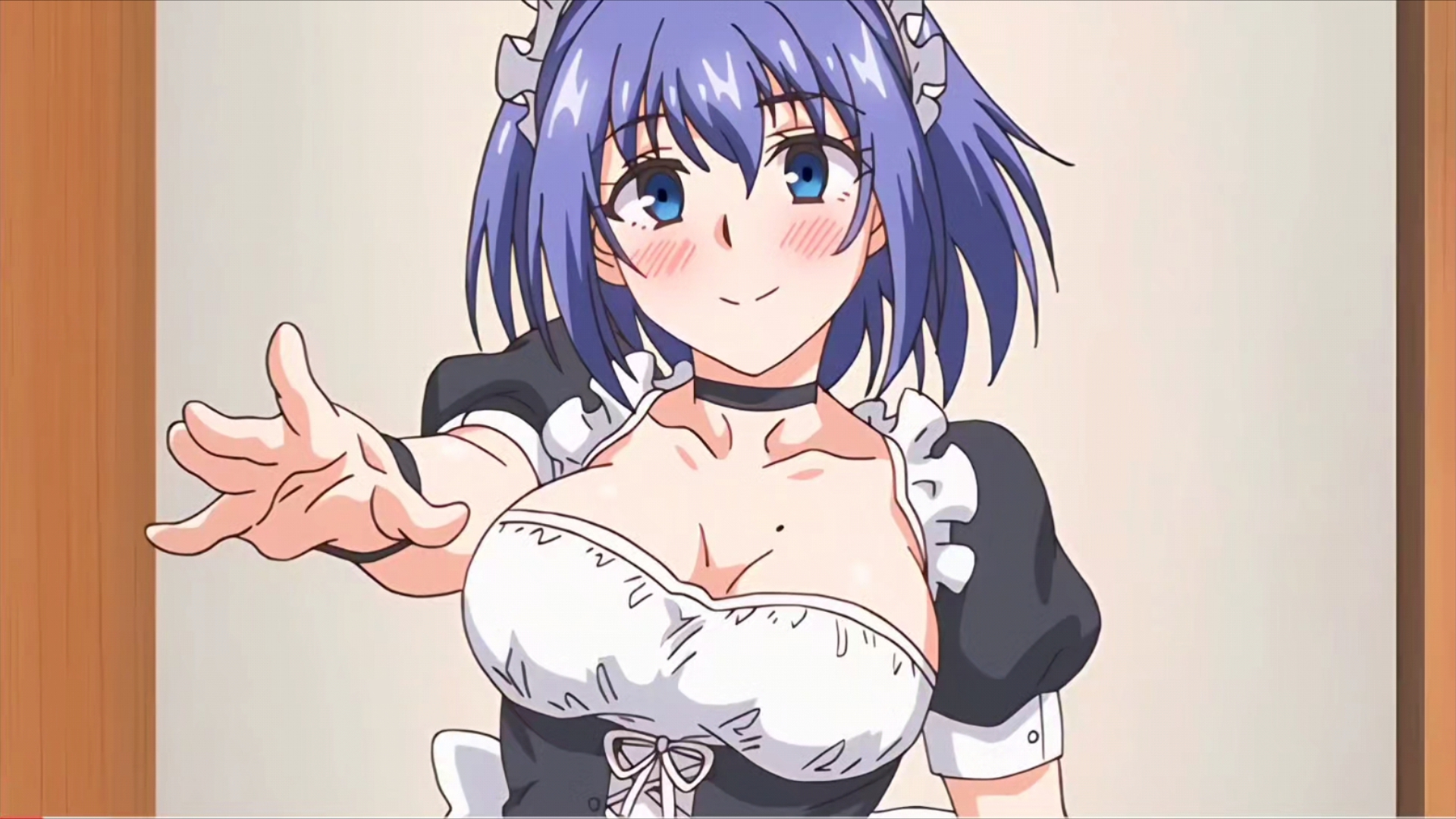 the+animation完整版