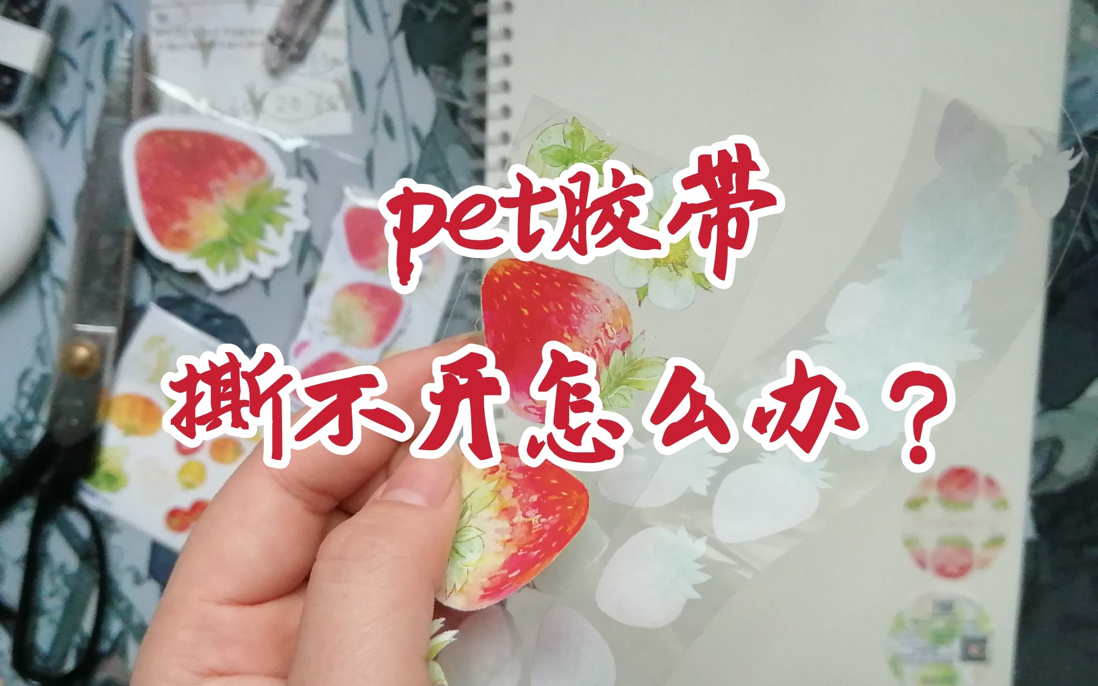 【小技巧】pet胶带撕不开怎么办?简单啦~哔哩哔哩bilibili