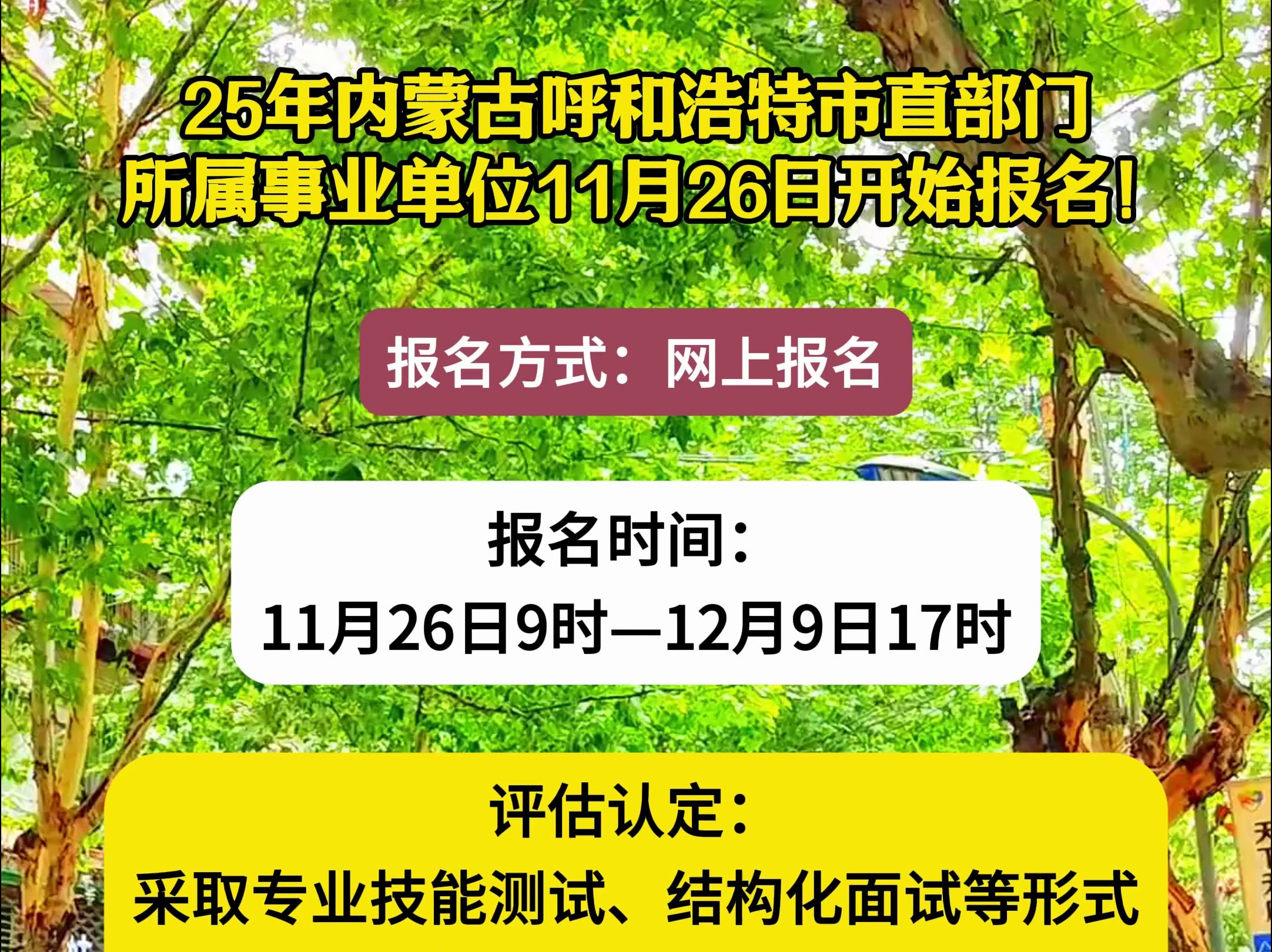 25年内蒙古呼和浩特市直部门所属事业单位11月26日开始报名!哔哩哔哩bilibili