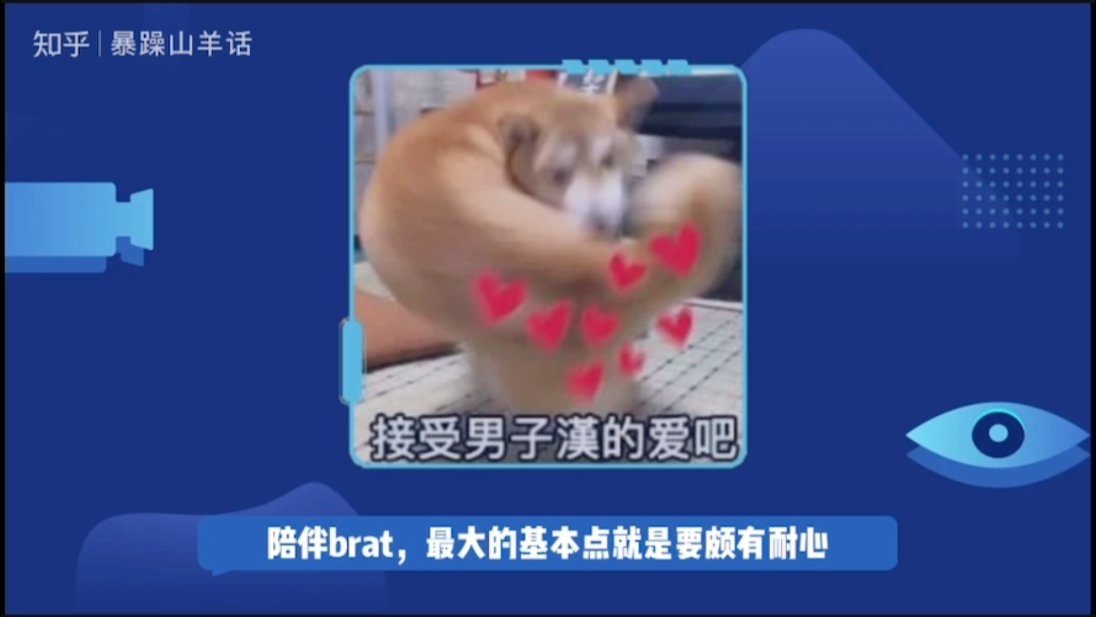 详细科普字母圈中的brat哔哩哔哩bilibili