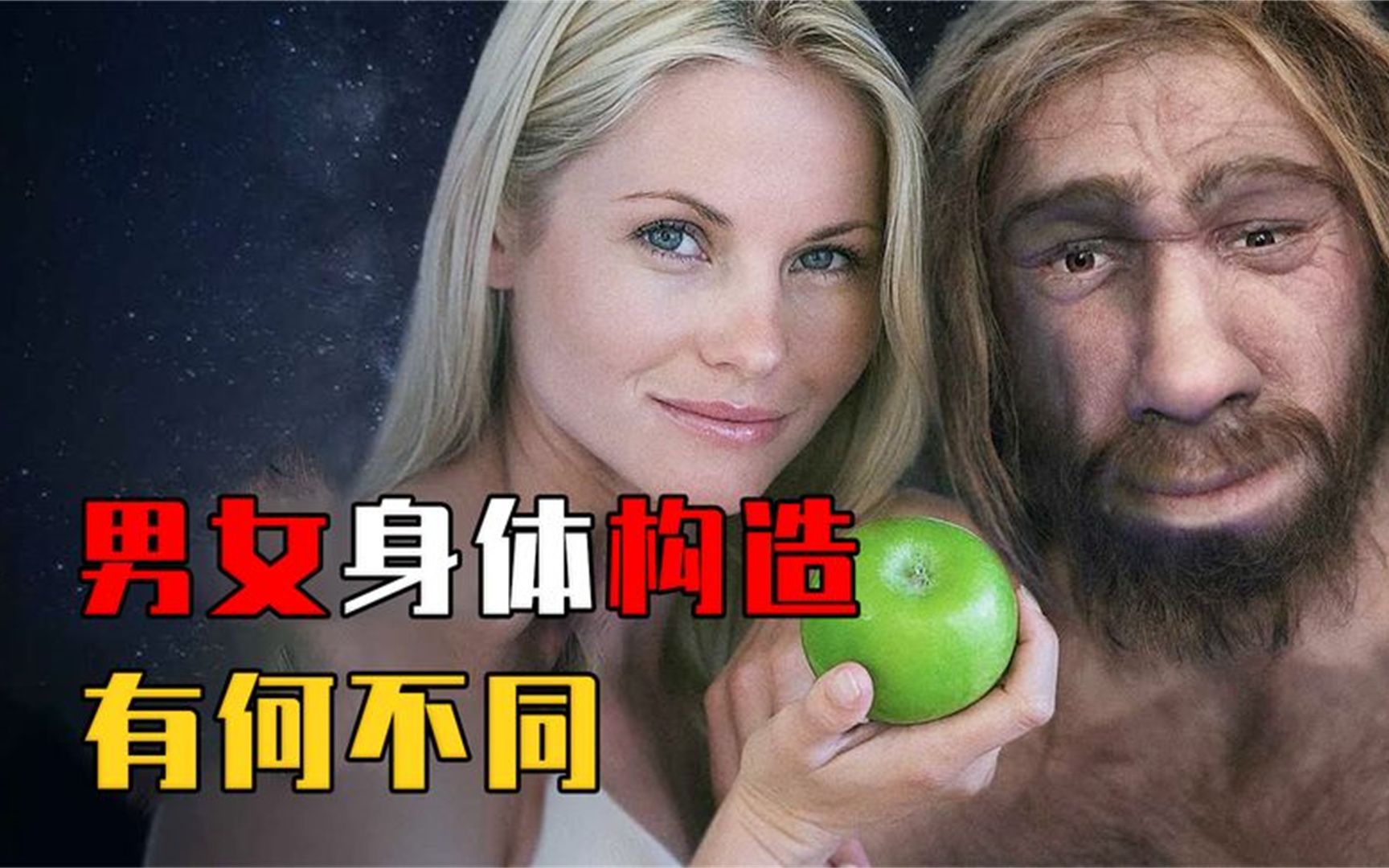 不同性别人类的身体构造