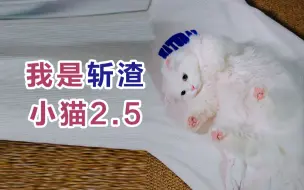 Descargar video: 我做了一件好猫好事……