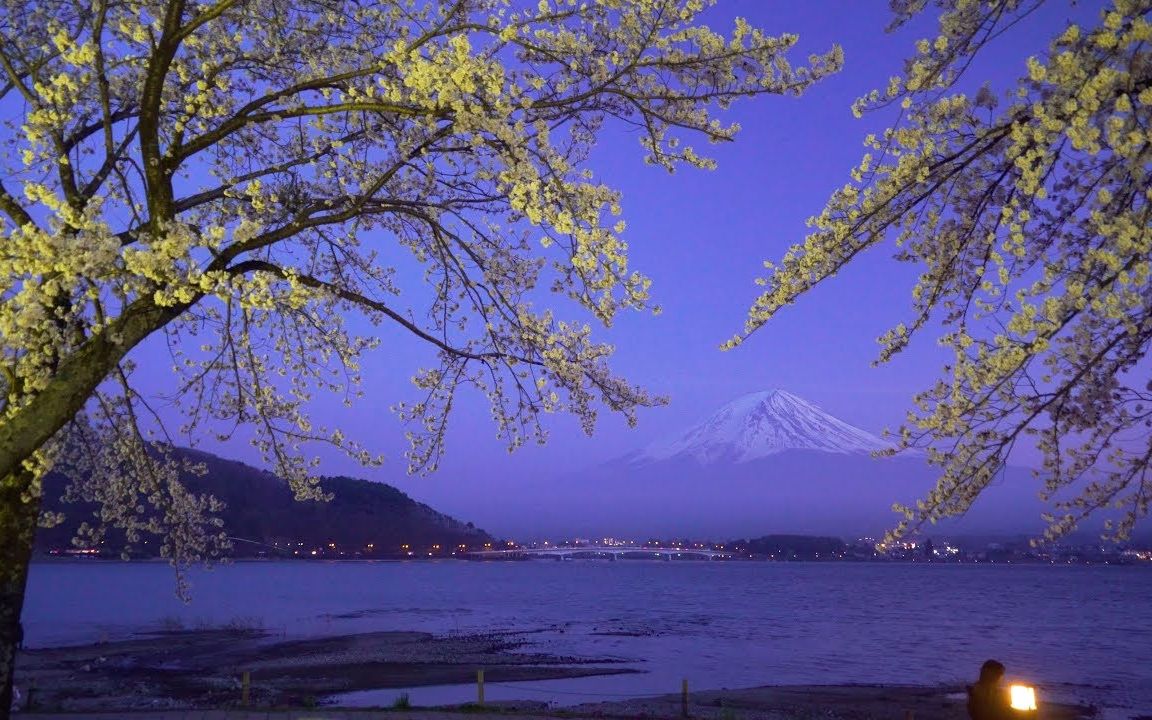 4K 樱花 富士山 河口湖 Mt. Fuji & Cherry Blossoms At Lake Kawaguchi In Twilight哔哩哔哩bilibili