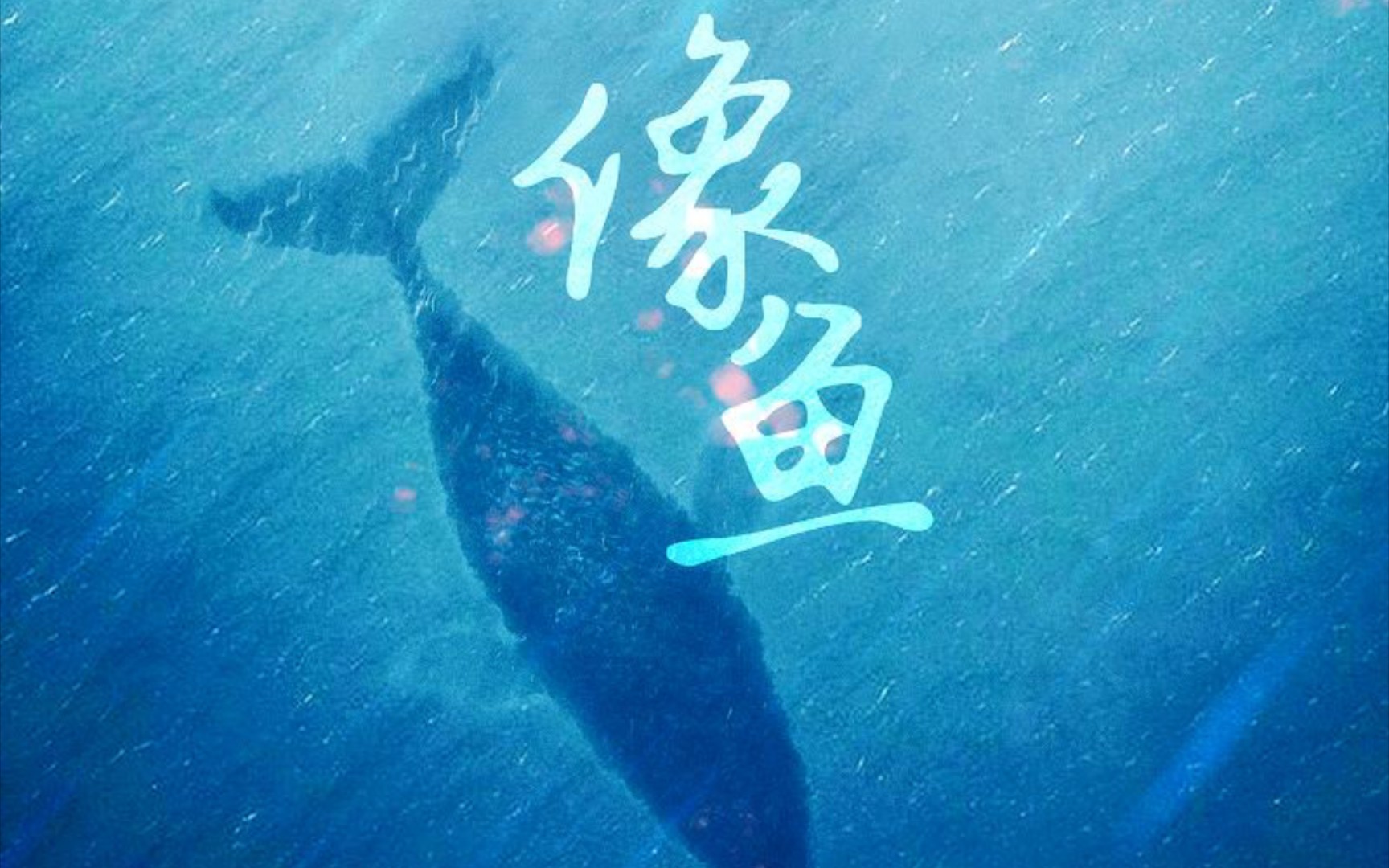 像鱼吉他弹唱cover王贰浪