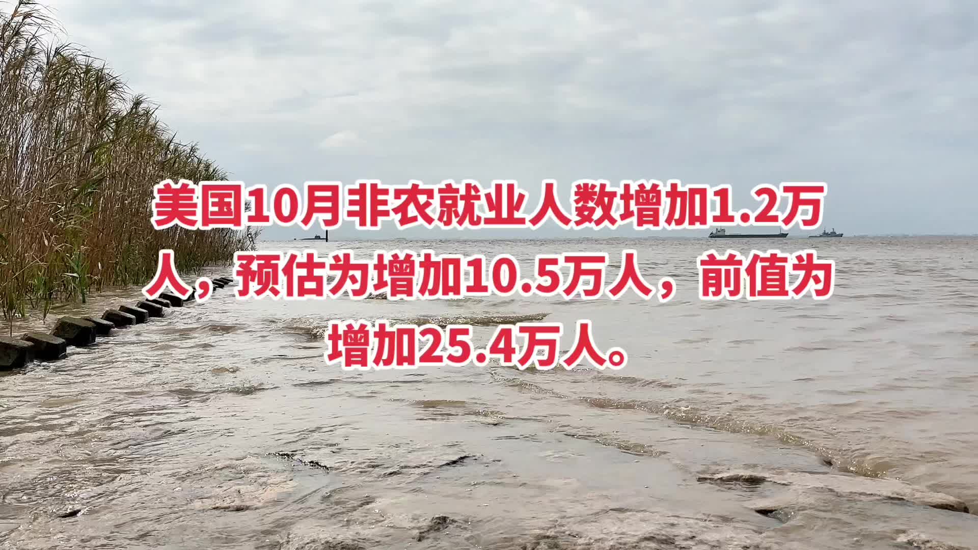 美国10月非农就业人数增加1.2万人,预估为增加10.5万人,前值为增加25.4万人.#非农数据 #美联储 #美联储降息 #美联储议息会议哔哩哔哩bilibili