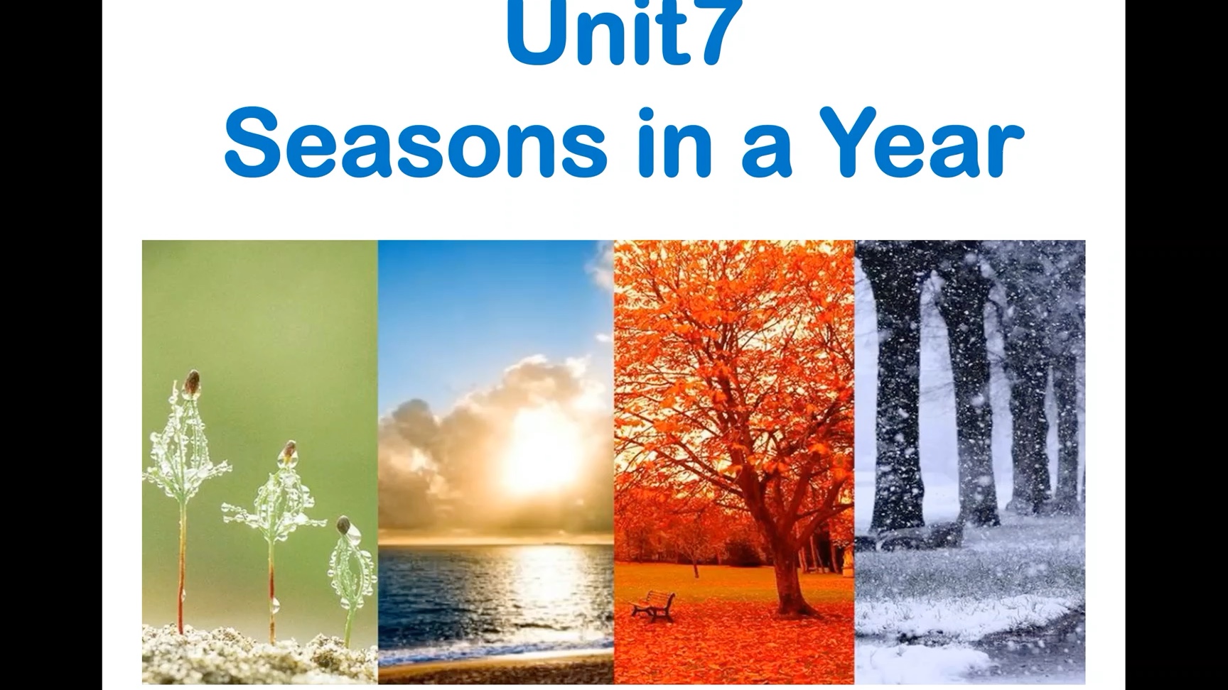 [图]seasons in a year