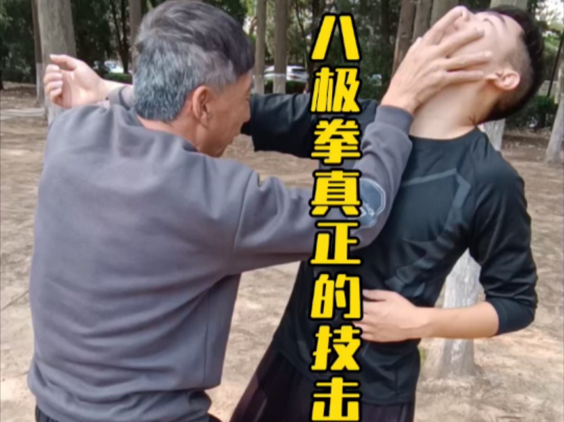 八极拳技击的真正要义①哔哩哔哩bilibili