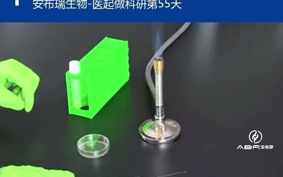 【生物医学实验室日常】质粒DNA的提取碱裂解法哔哩哔哩bilibili