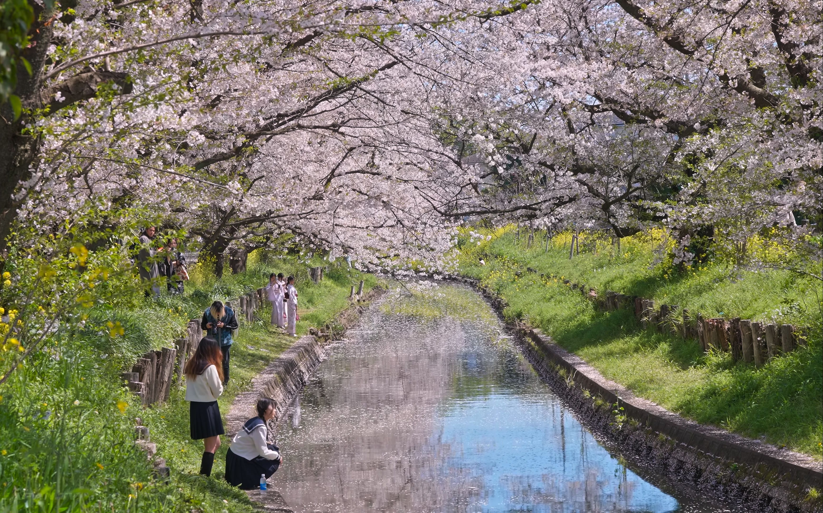 漫步日本・埼玉县周边散步【4K HDR】哔哩哔哩bilibili