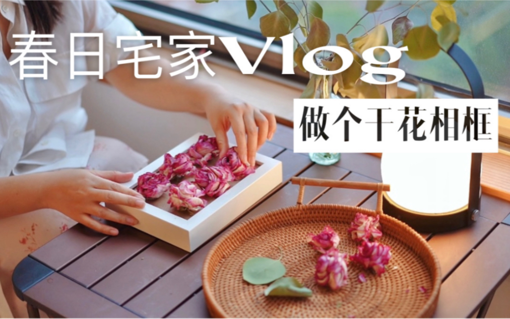 春日宅家Vlog|做个干花相框,将春天延续到家里哔哩哔哩bilibili