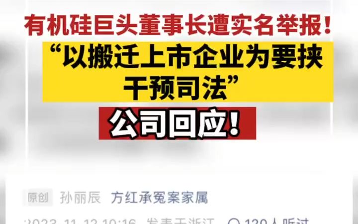 董事长遭原总经理家属实名举报,合盛硅业发布澄清公告哔哩哔哩bilibili