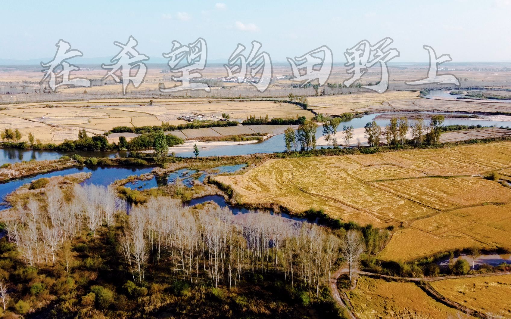 一條大河波浪寬風吹稻花香兩岸原來東北稻田裡的秋天這麼美