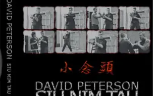 Download Video: 黄淳梁国外首徒David Peterson咏春拳教学系列之小念头 Section 3