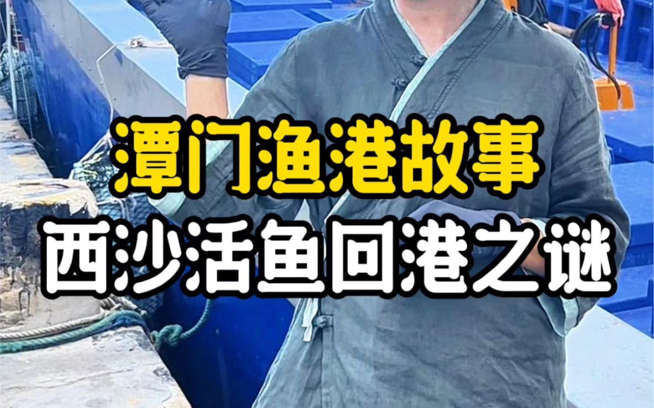 潭门镇仅3万人口,被国家关注,你不知道的千年渔港故事很多哔哩哔哩bilibili