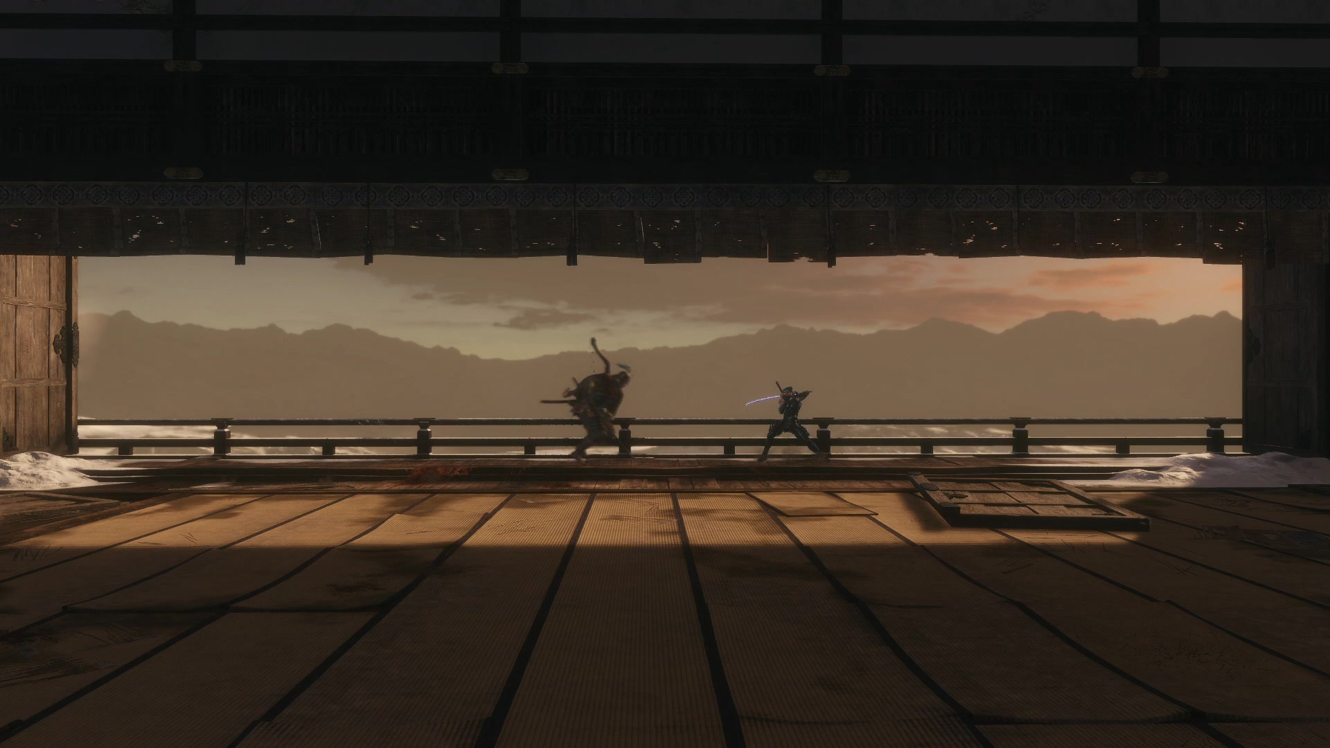 慢镜和自由视角下只狼华丽的战斗系统