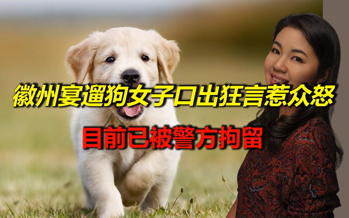 徽州宴遛狗女子口出狂言惹众怒,目前已被警方拘留_哔哩哔哩_bilibili