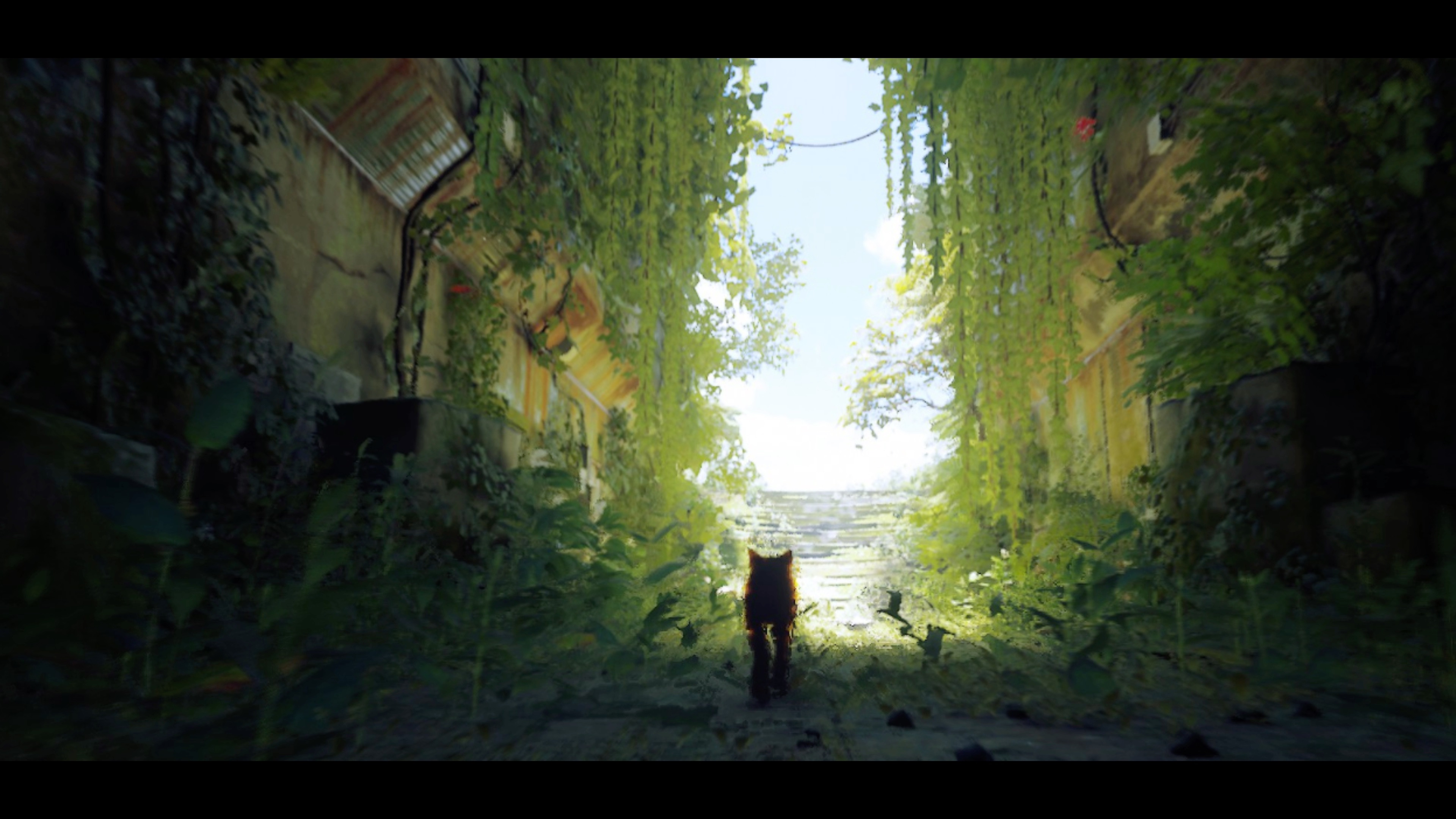 通关了stray 但是并没有那么开心_单机游戏热门视频