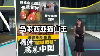 Download Video: 马来西亚首批空运榴莲在中国掀起榴莲抢购风暴,从业者表示供不应求