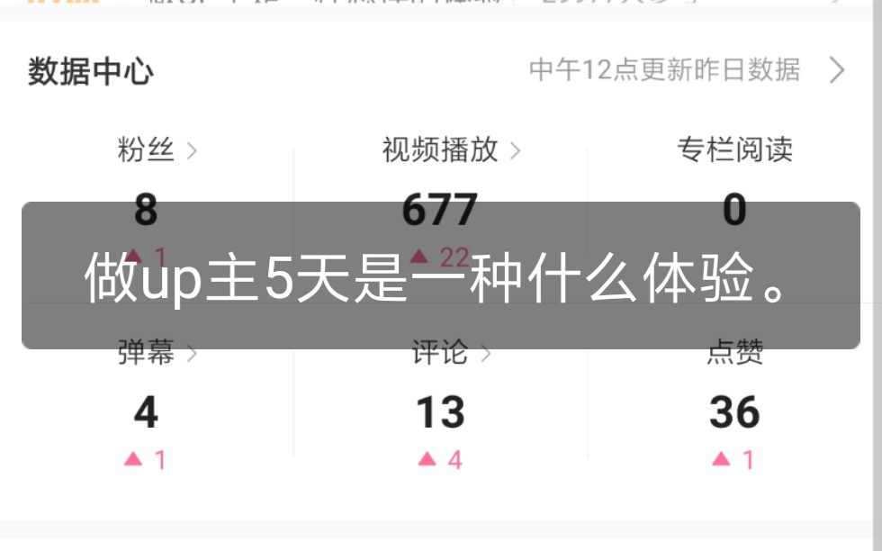做up主5天,是一种什么体验哔哩哔哩bilibili