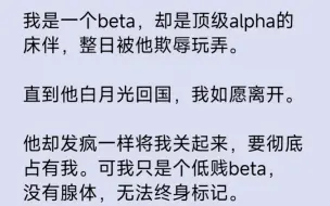 Download Video: 【双男主】可我只是个低贱beta，没有腺体，无法终身标记。也从未喜欢过他。