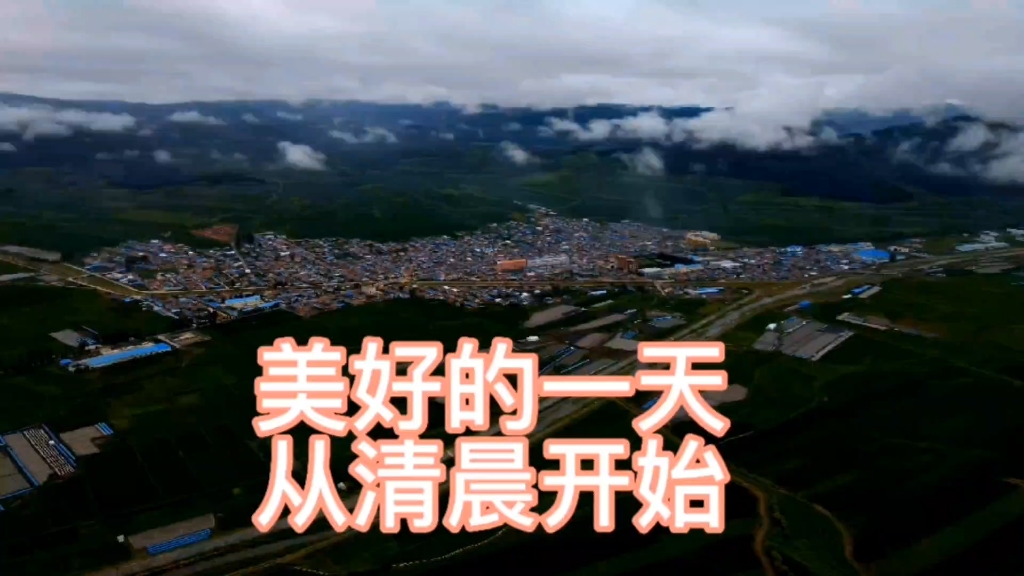 美好的一天从清晨开始今天继续上山采灵芝