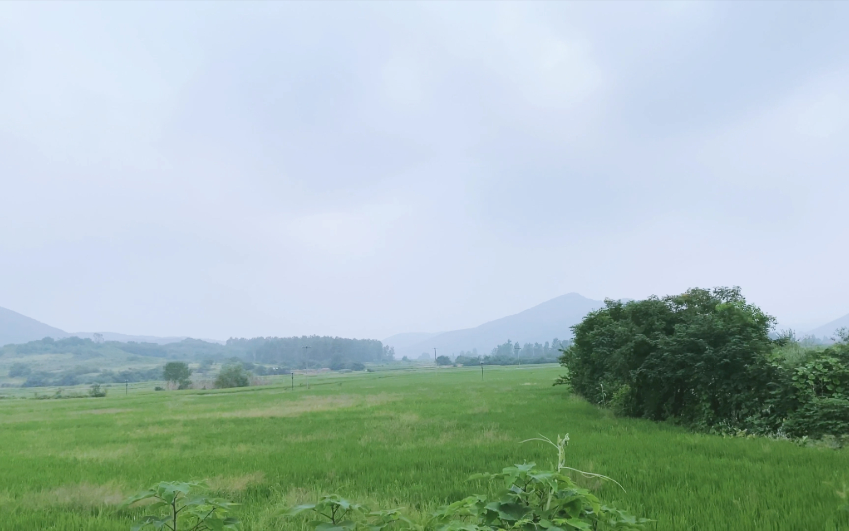 农村空气太好啦